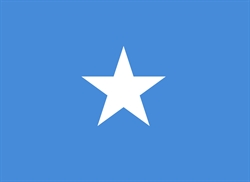 [ai] A flag featuring a light blue background with a white five-pointed star centered in the middle.